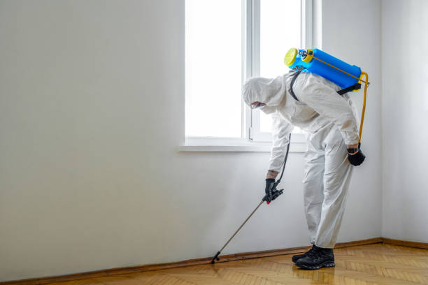 Best Exterminator Services  in White Center, WA